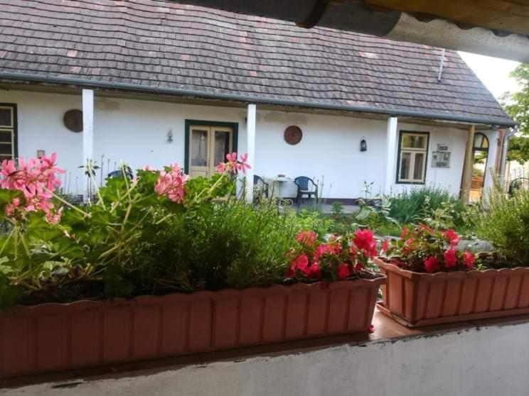 Hotel Terez Haza Pazmand Exteriér fotografie